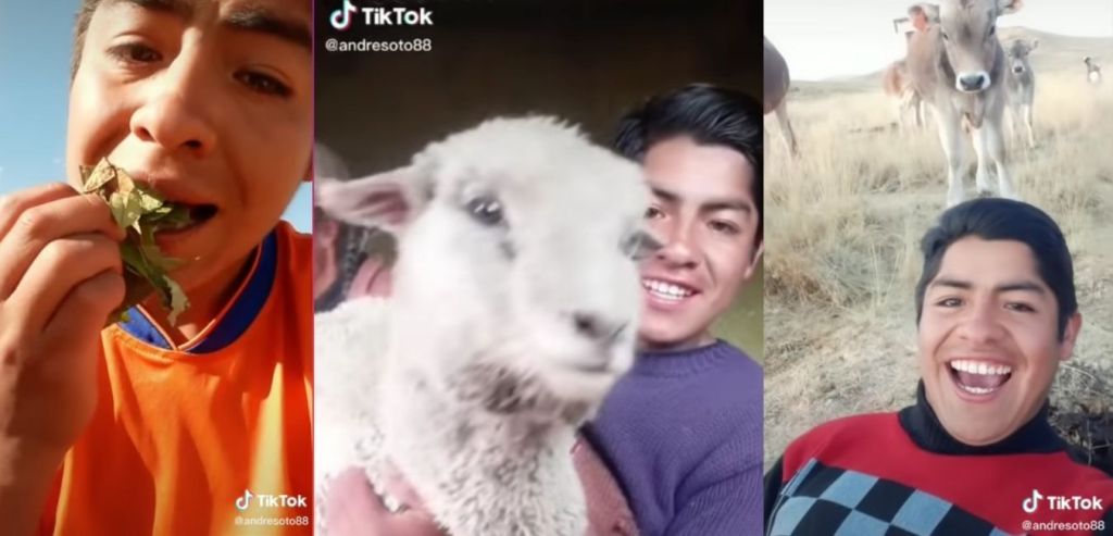 O aluno REGISTRA o TikTok de sua VIDA no CAMPO 