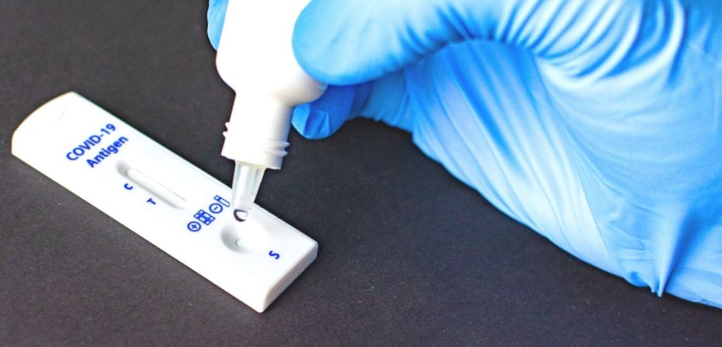 Os alunos manipulam testes COVID